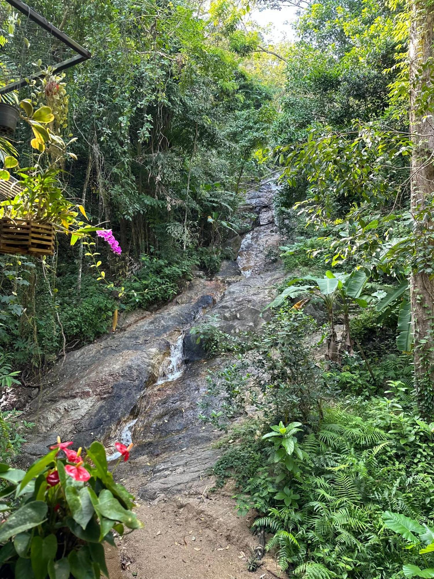 Nua Tone Resort Bang Tao & Cafe Ngoại thất bức ảnh